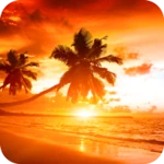 Logo of Sunset Wallpapers 4K android Application 